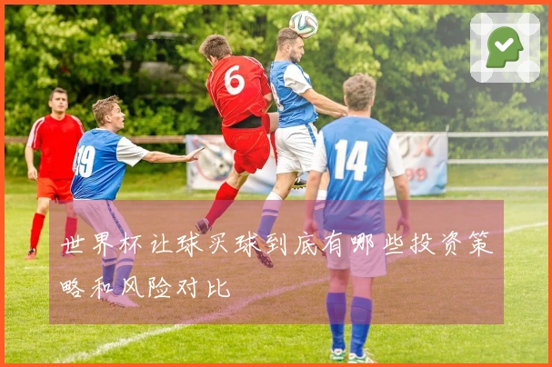 世界杯让球买球到底有哪些投资策略和风险对比
