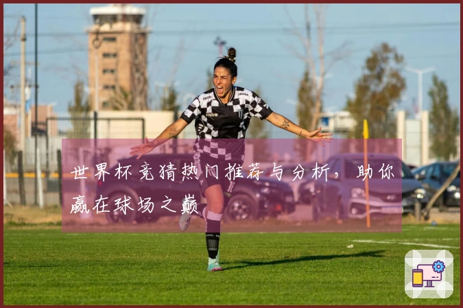 世界杯竞猜热门推荐与分析，助你赢在球场之巅