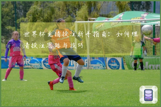 世界杯竞猜投注新手指南：如何理清投注思路与技巧