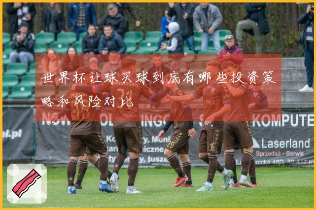 世界杯让球买球到底有哪些投资策略和风险对比