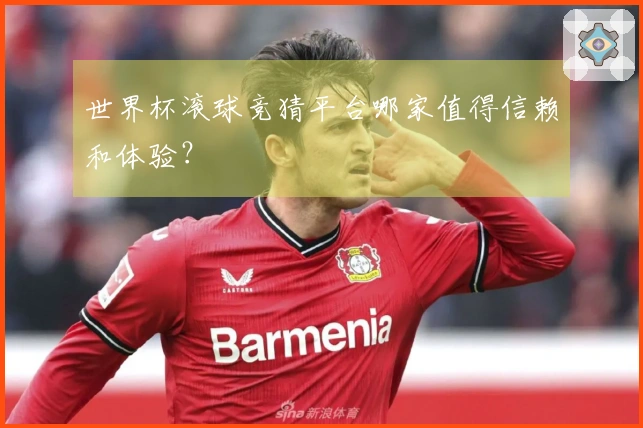 世界杯滚球竞猜平台哪家值得信赖和体验？