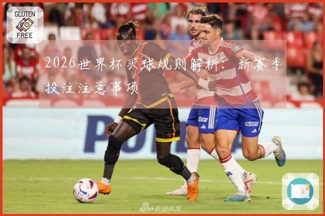 2026世界杯买球规则解析：新赛季投注注意事项